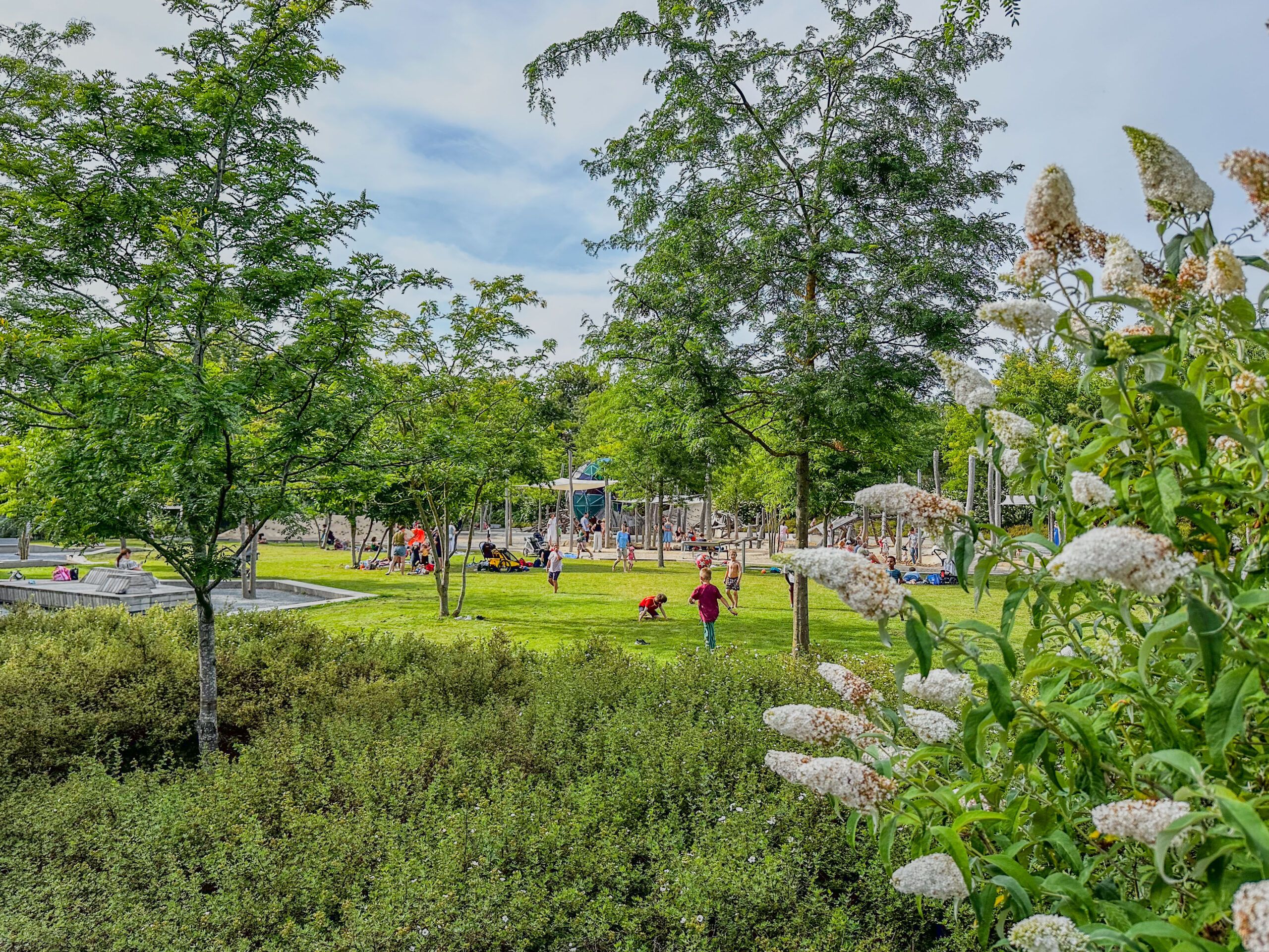 Eine Wiese mit spielenden Kindern im Stadtteil Hubland. Im Vordergrund verdecken teilweise Blumen und Bäume das Bild.