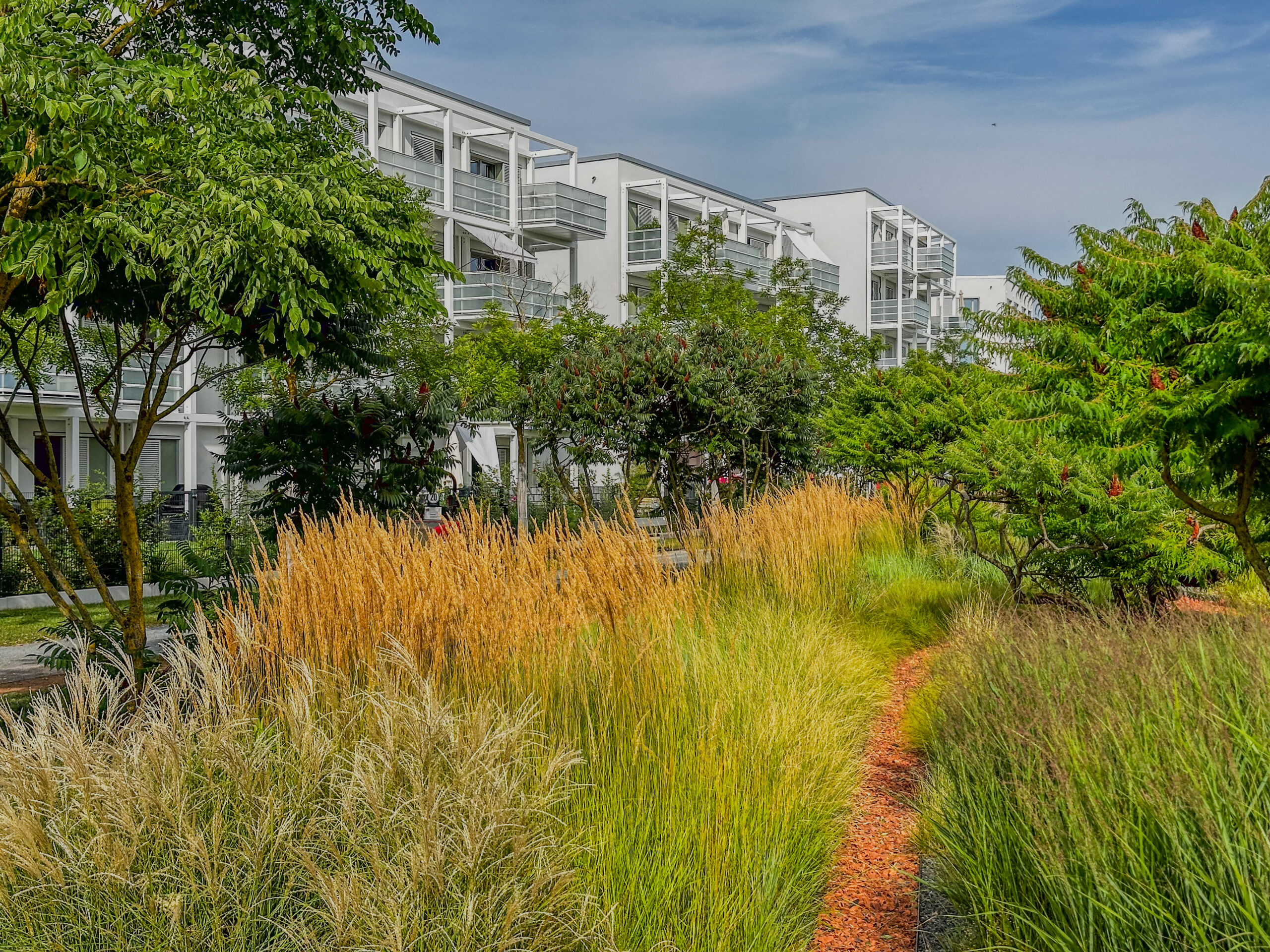 Grüne Wiesen und Bäume mit kleinen angelegten Wegen. Im Hintergrund sind Wohnhäuser zu sehen.