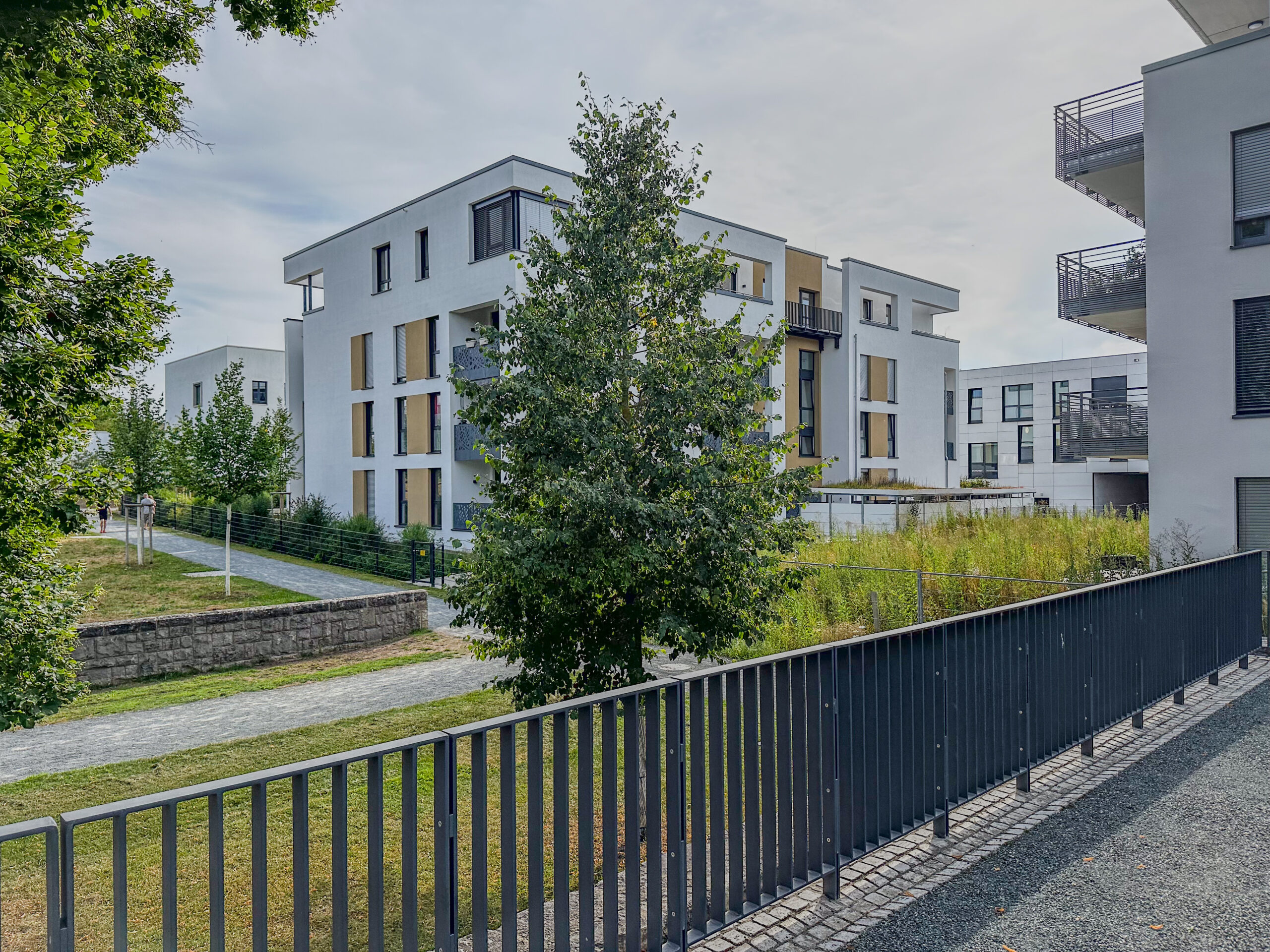 Wohnhäuser am Hubland im Hintergrund. Im Vordergrund sieht man einen Zaun, Bäume und Wiese.